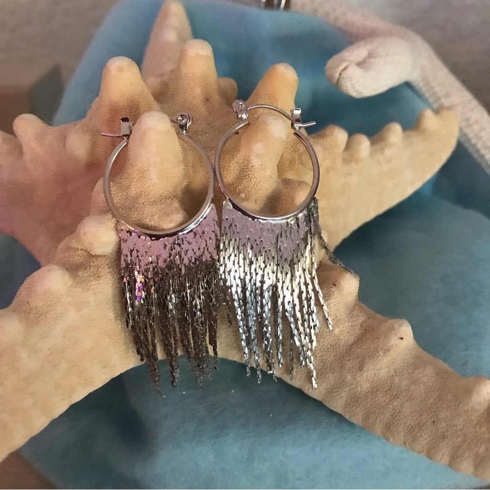 NWOT Hoop Dangle Silver Earrings
